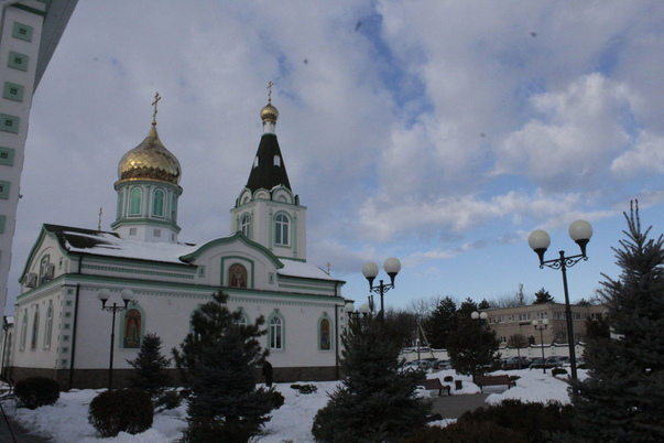 Галерея лучших фото