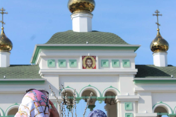 Галерея лучших фото