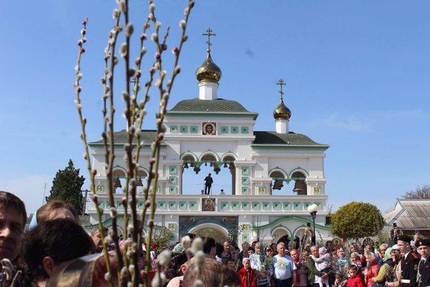 Галерея лучших фото