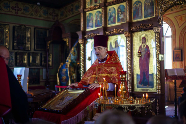 Галерея лучших фото