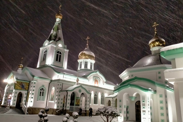 Галерея лучших фото