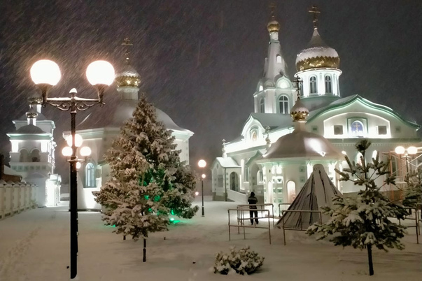 Галерея лучших фото