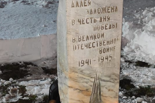 Галерея лучших фото