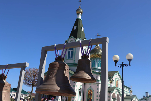Галерея лучших фото