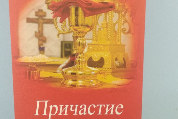 Галерея лучших фото