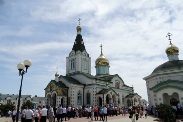 Галерея лучших фото