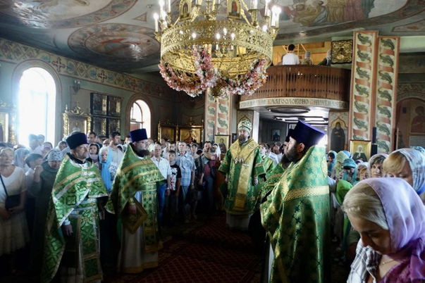 Галерея лучших фото