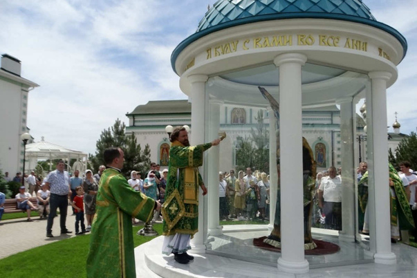 Галерея лучших фото