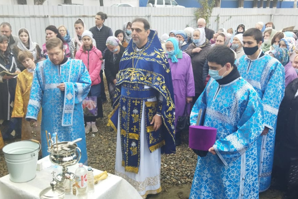 Галерея лучших фото