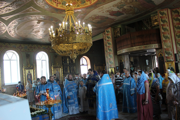 Галерея лучших фото