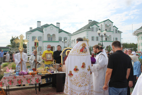 Галерея лучших фото