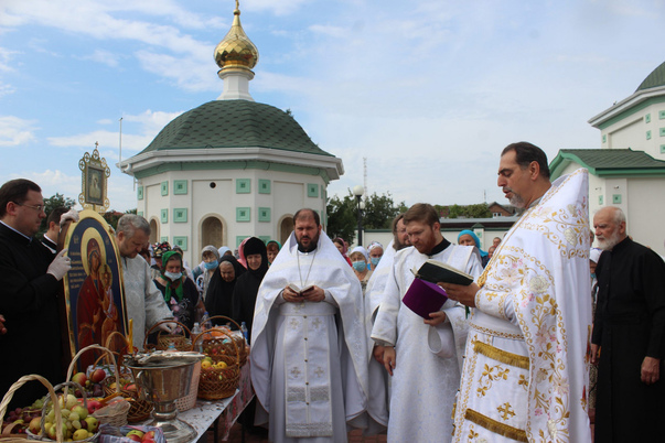 Галерея лучших фото