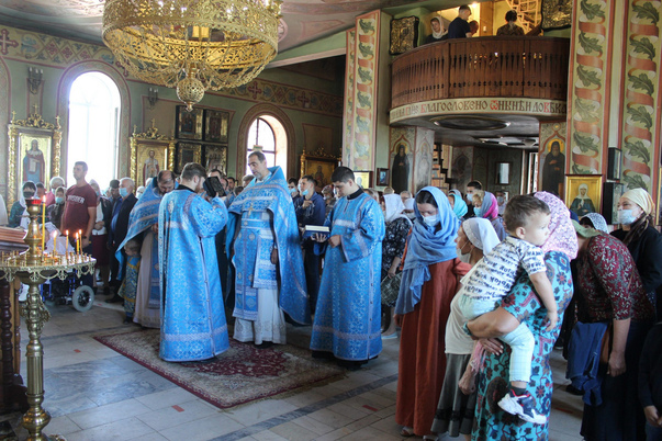 Галерея лучших фото