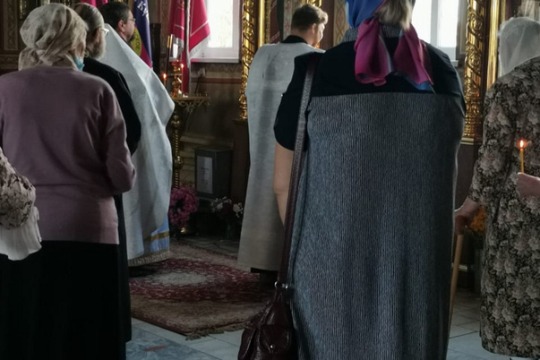 Галерея лучших фото