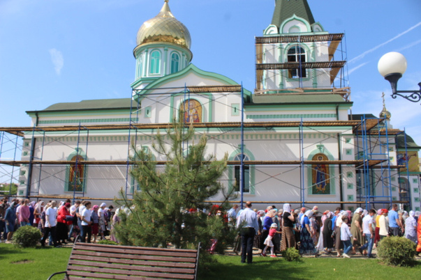 Галерея лучших фото