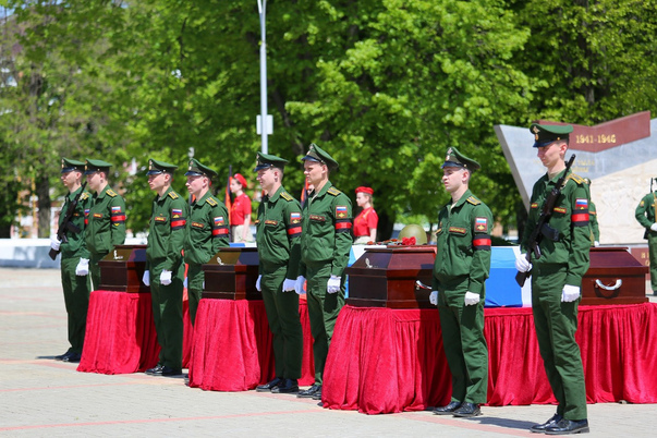Галерея лучших фото