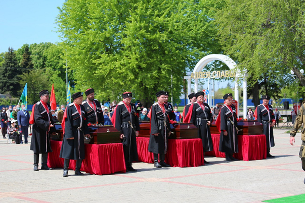 Галерея лучших фото