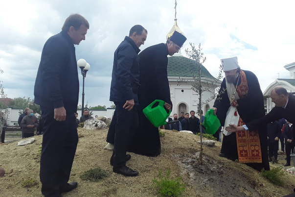 Галерея лучших фото
