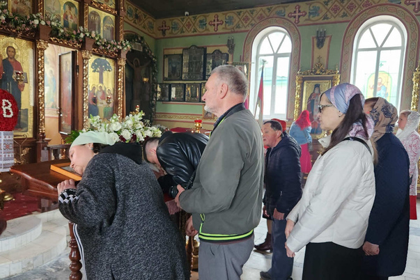 Галерея лучших фото