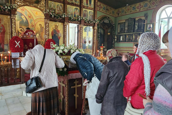 Галерея лучших фото