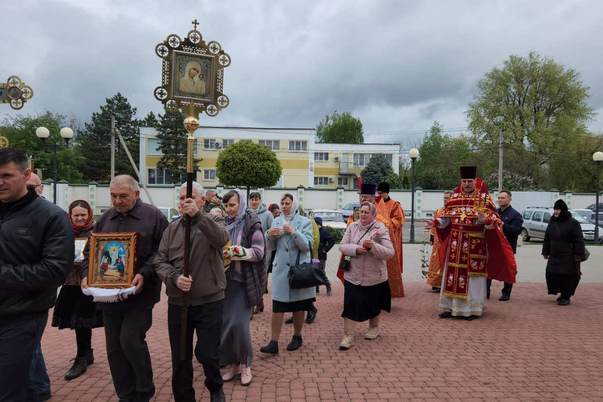 Галерея лучших фото