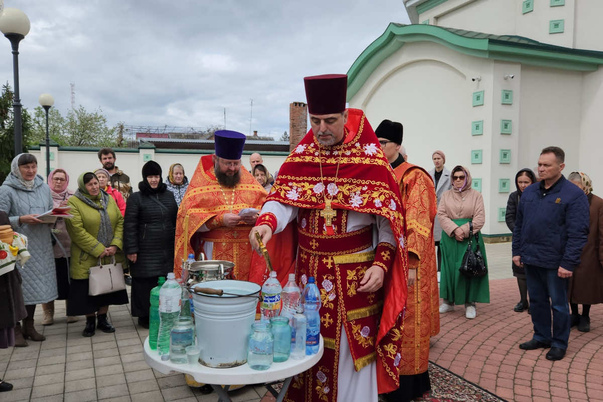 Галерея лучших фото