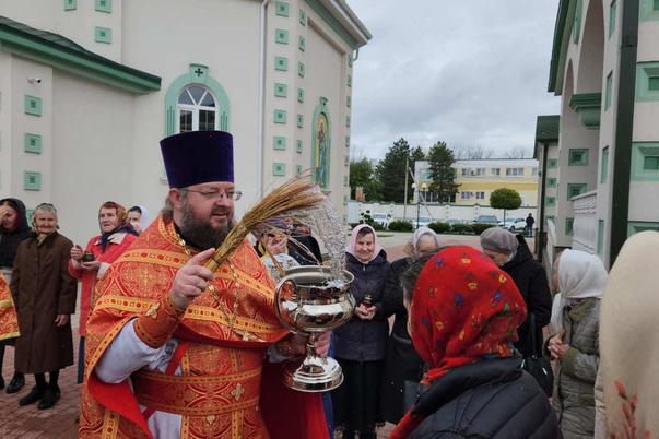 Галерея лучших фото