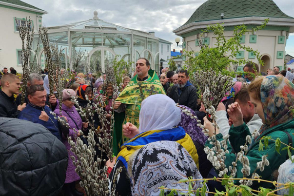 Галерея лучших фото