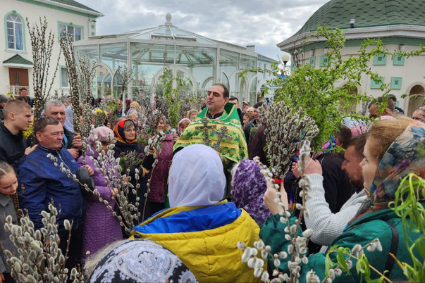 Галерея лучших фото