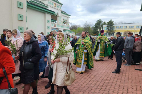 Галерея лучших фото