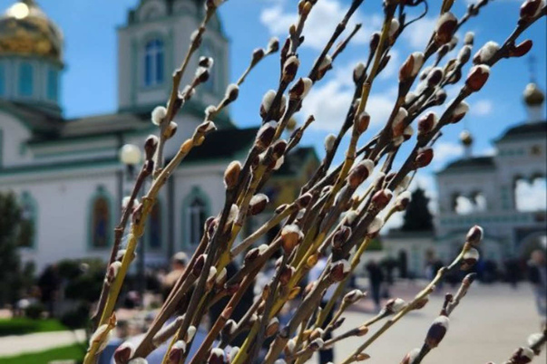Галерея лучших фото