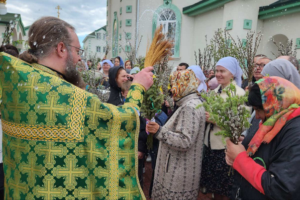 Галерея лучших фото