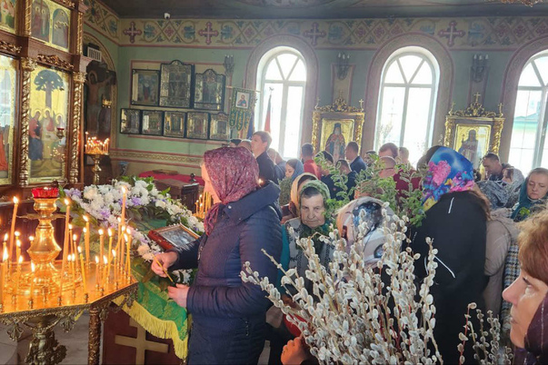 Галерея лучших фото