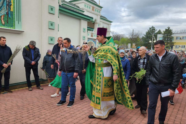 Галерея лучших фото