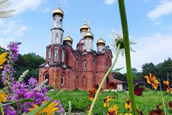Галерея лучших фото