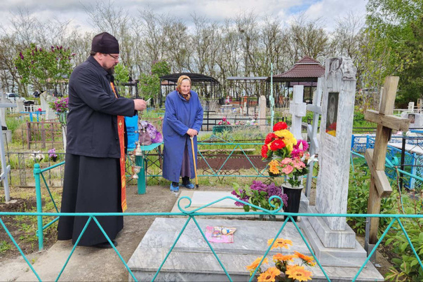Галерея лучших фото