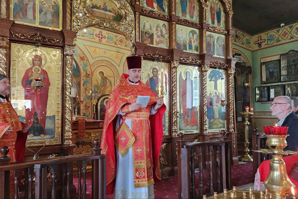 Галерея лучших фото