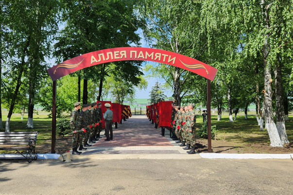 Галерея лучших фото