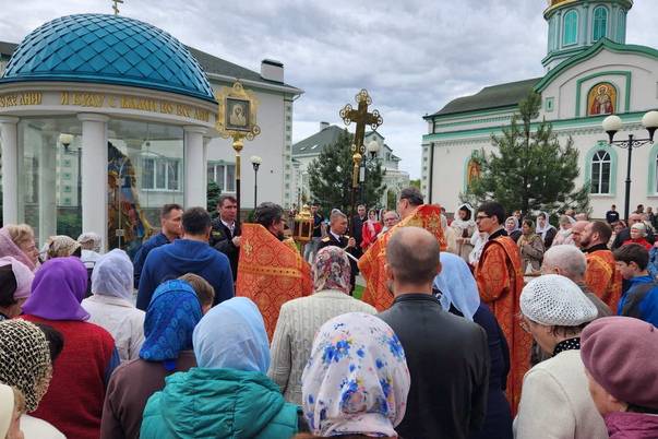 Галерея лучших фото