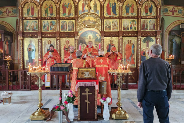 Галерея лучших фото