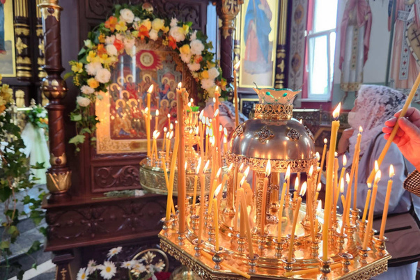 Галерея лучших фото