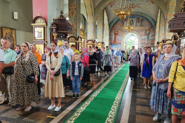 Галерея лучших фото