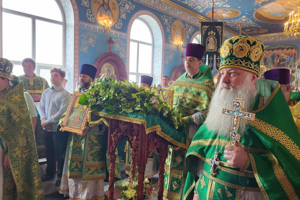 Галерея лучших фото