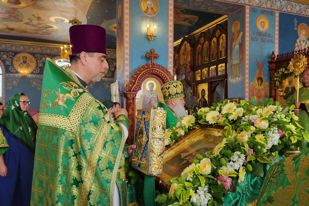 Галерея лучших фото
