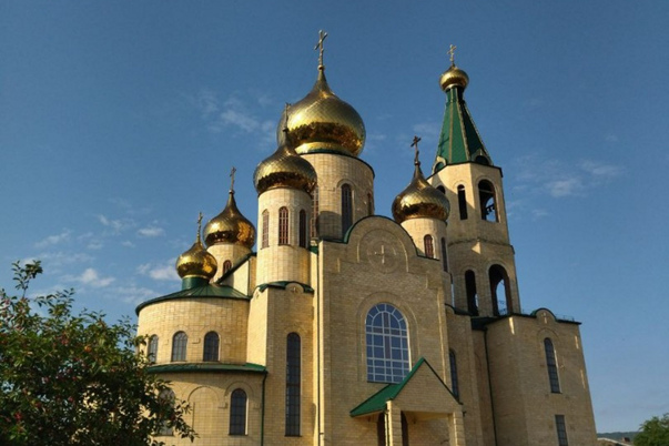 Галерея лучших фото