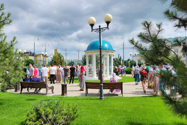 Галерея лучших фото