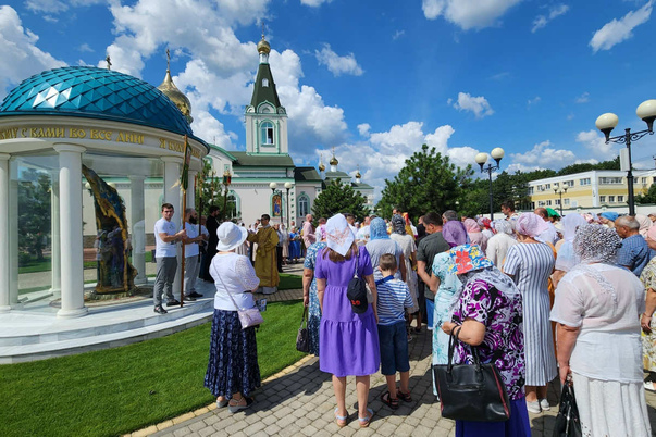 Галерея лучших фото