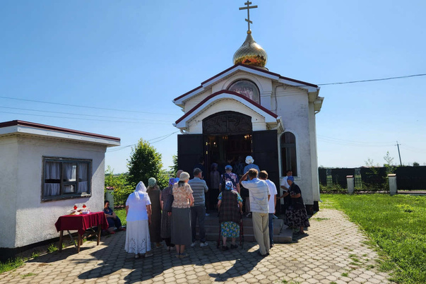 Галерея лучших фото