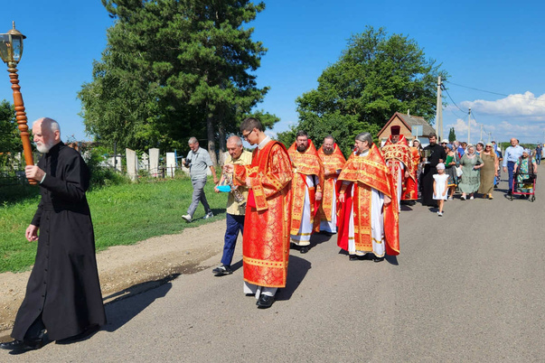 Галерея лучших фото