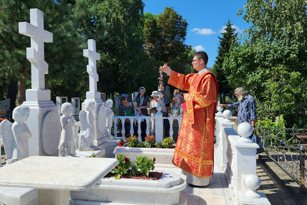 Галерея лучших фото